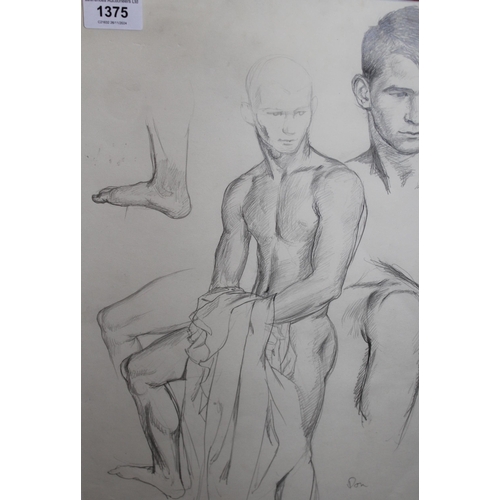 1375 - Pencil drawing, male nude study ' Don ', signed ' Stone 62 ', 42 x 28cm, gilt framed, together with ... 