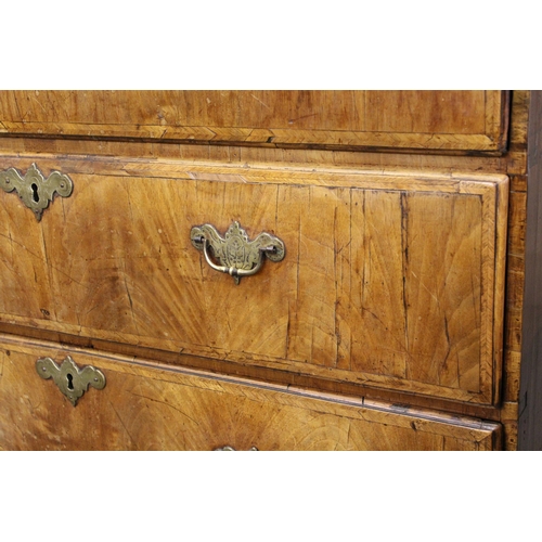 1831 - 18th Century walnut chest on stand, the moulded cornice above two short and three long graduated dra... 