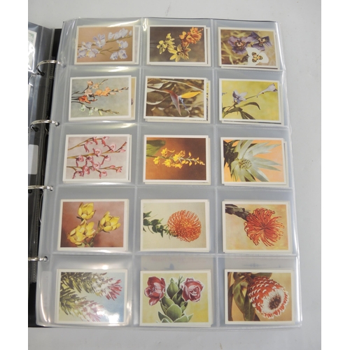 314 - Two albums of cigarette cards, including ATC, Bat, Bucktrout etc.