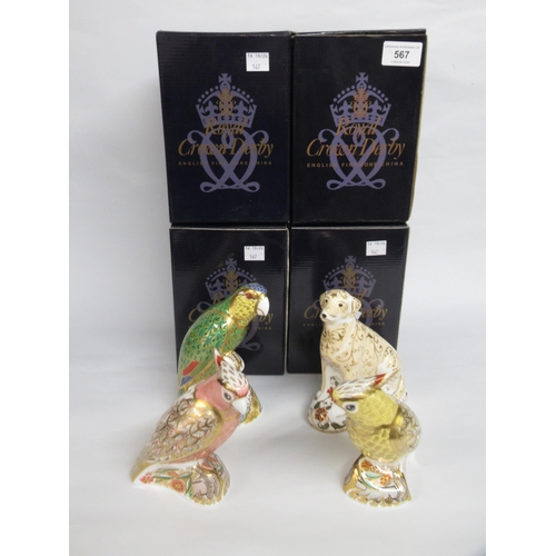 567 - Group of four Royal Crown Derby paperweights, ' Citron Cockatoo ', ' Amazon Green Parrot ', ' PW Coc... 