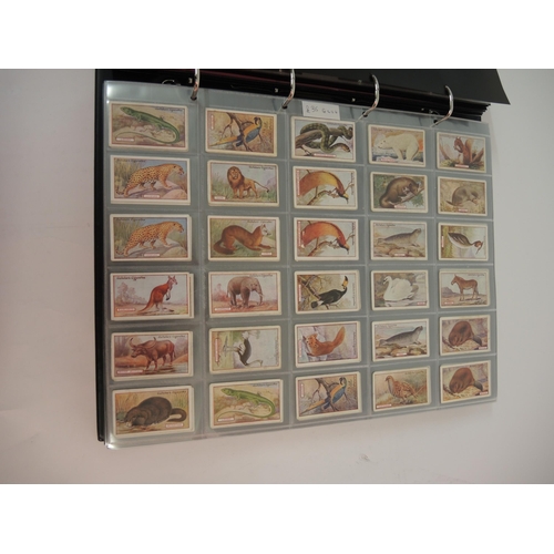 379 - One large album of Gallaher cigarette cards