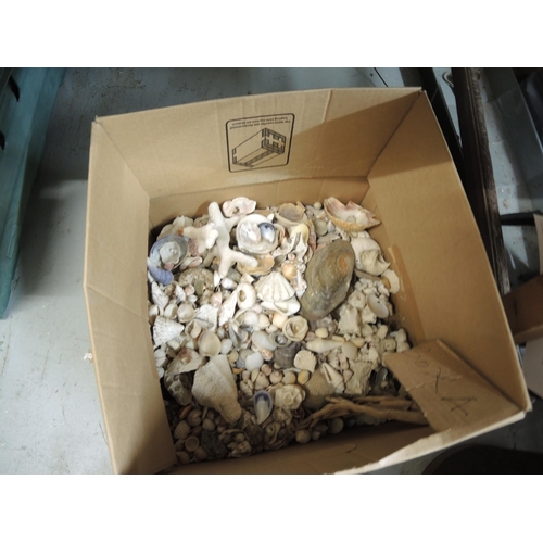 455 - Collection of various seashells housed in a brass preserve pan