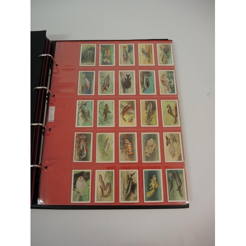 380 - One large album of Gallaher cigarette cards