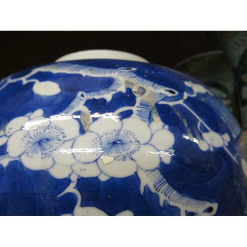 569 - Chinese Kangxi large prunus blossom ginger jar, signed with four character mark to base, 25cm high