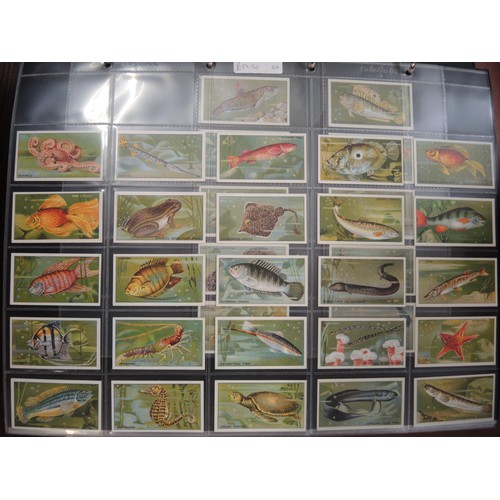 371 - One large album of Nicolas Sarony and John Sinclair cigarette cards