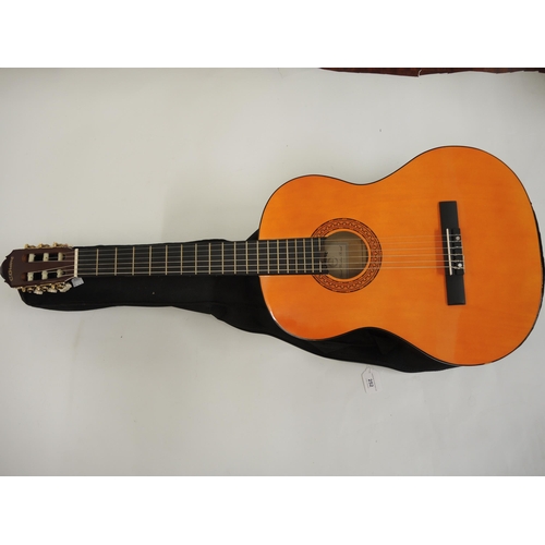 252 - C. Giant, acoustic guitar