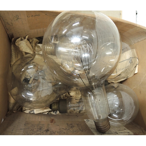 306 - Quantity of large sized studio light bulbs