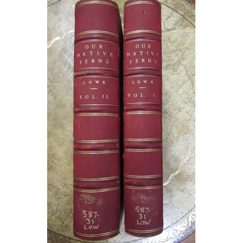 394 - E.J. Lowe, two volumes, ' Our Native Ferns ' with colour plates, published Groombridge and Sons, Lon... 