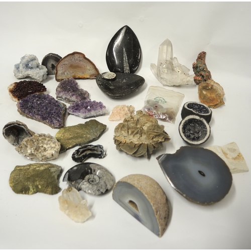 175 - Quantity of various fossils, geodes and other mineral samples
