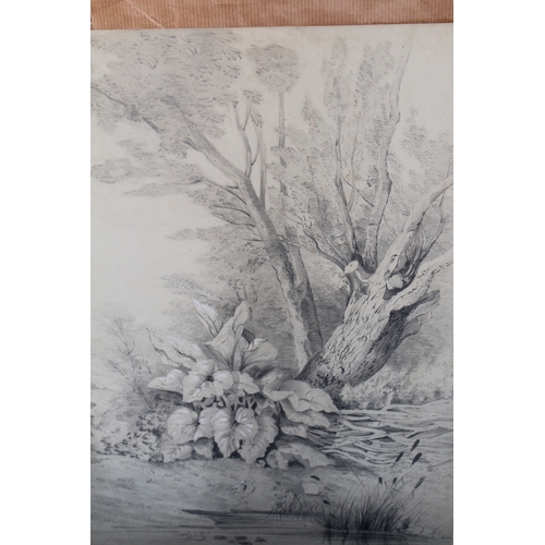 1189 - Folder containing a collection of various 19th Century pencil drawings