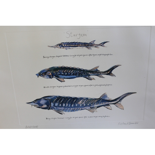 1192 - Richard Bramble, artist proof print, ' Sturgeon ', together with a small quantity of other various u... 