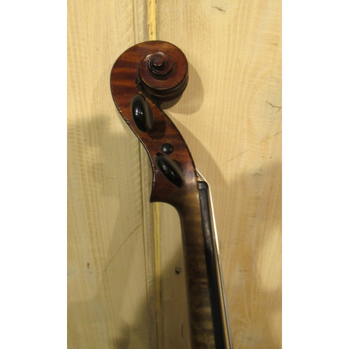 205 - Two full size violins by Stentor in fitted cases
