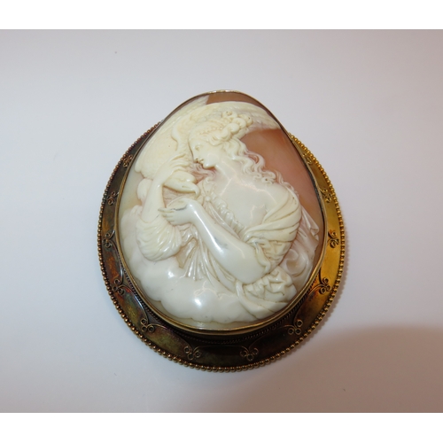 1218 - 19th Century high carat gold mounted oval carved shell cameo brooch depicting Hebe, gross weight 22.... 