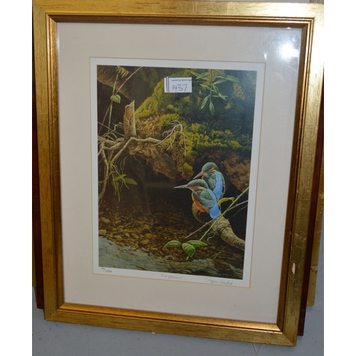 1437 - Stephen Gayford, group of five artist signed Limited Edition coloured prints, various birds and anim... 