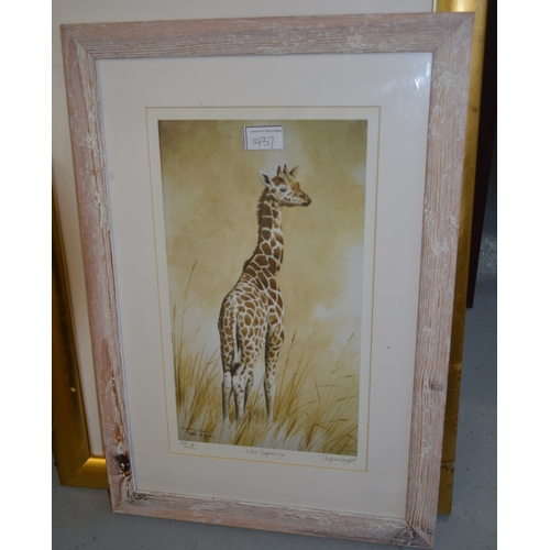 1437 - Stephen Gayford, group of five artist signed Limited Edition coloured prints, various birds and anim... 