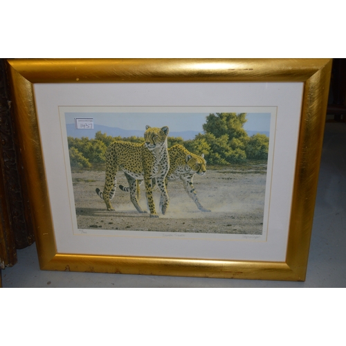 1437 - Stephen Gayford, group of five artist signed Limited Edition coloured prints, various birds and anim... 