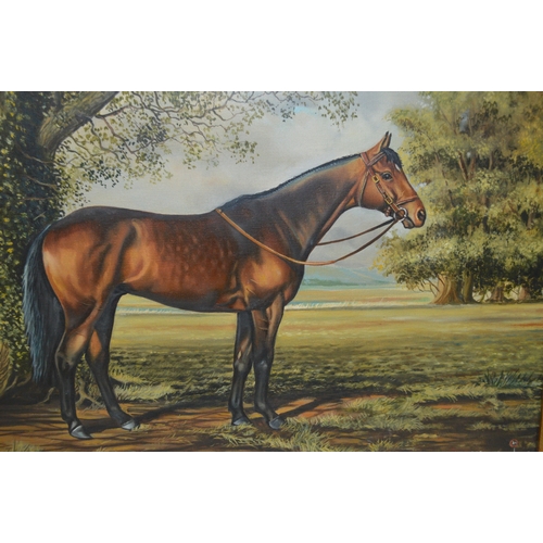 1528 - D. A. Denyer, two oils on canvas, portraits of racehorses, both gilt framed, 38 x 49cm and 49 x 59cm