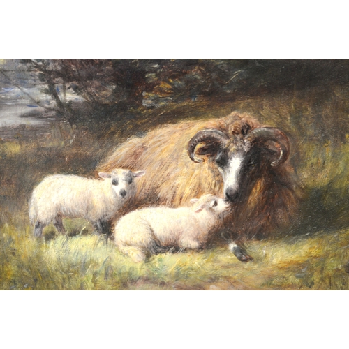1645 - Joseph Denovan Adams, oil on board, study of sheep, signed with monogram, 18cm x 23cm, gilt framed
