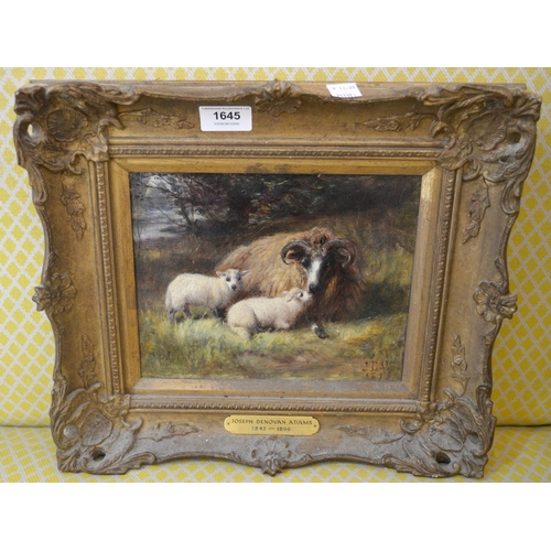 1645 - Joseph Denovan Adams, oil on board, study of sheep, signed with monogram, 18cm x 23cm, gilt framed