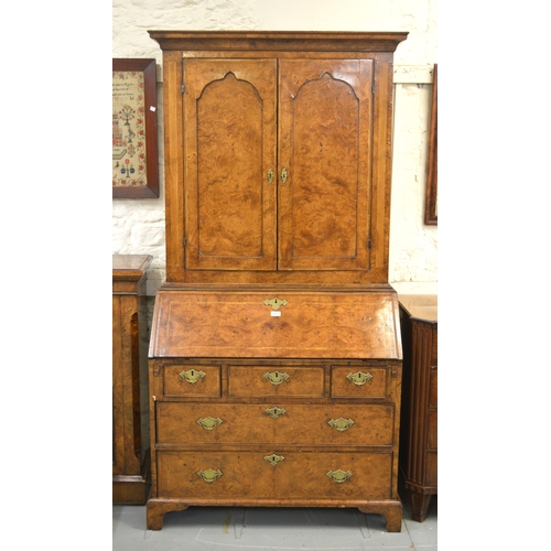 2063 - Antique burr elm bureau bookcase with moulded cornice above two panelled doors, the base with a fall... 