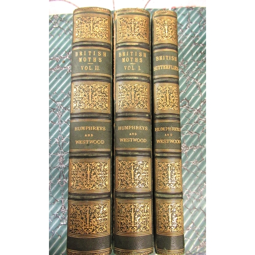 Lot 224       