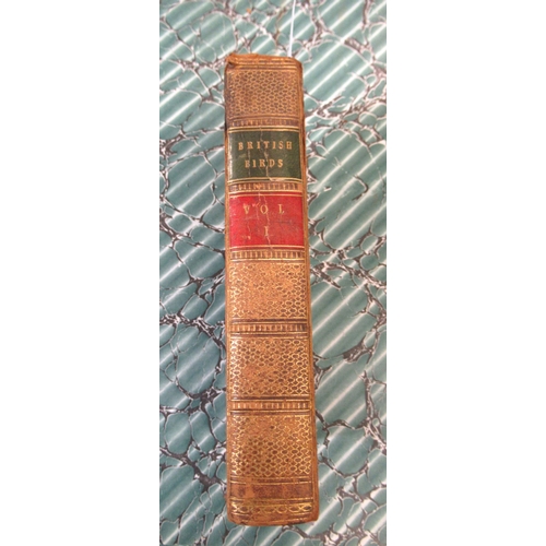 Lot 228       