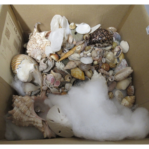 430 - Box containing a collection of miscellaneous seashells