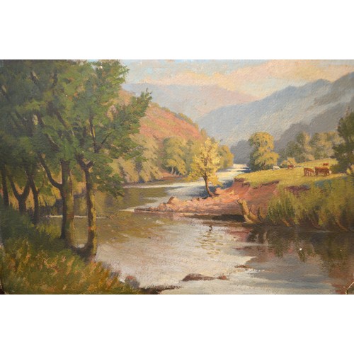 1564 - Nine various oil paintings on board , landscapes, (unframed)