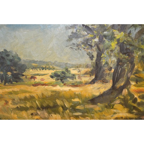 1564 - Nine various oil paintings on board , landscapes, (unframed)