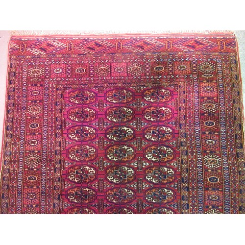 145 - Pakistan Tekke design rug having multiple borders on a dark red ground, 155 x 123cm