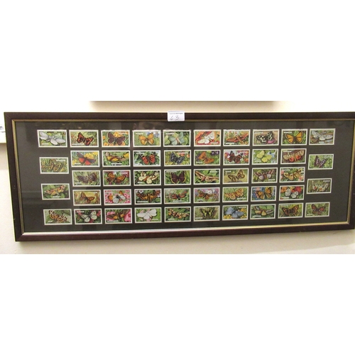 63 - Two framed sets of cigarette cards, Players butterflies and Gallaher butterflies and moths