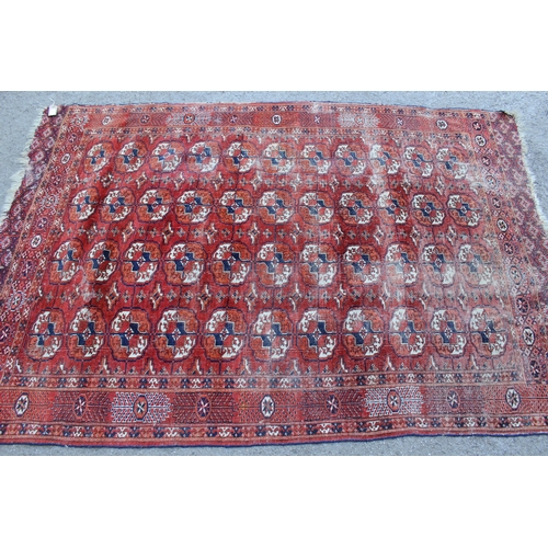 18 - Tekke rug with four rows of nine gols on a red ground with borders, 200 x 150cm approximately, toget... 