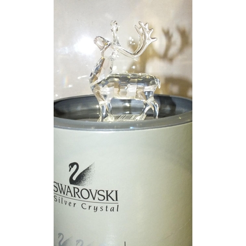 189 - A Swarovski crystal glass figure of a reindeer, boxed.