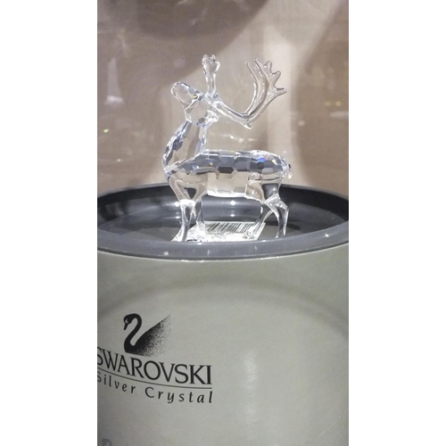 189 - A Swarovski crystal glass figure of a reindeer, boxed.