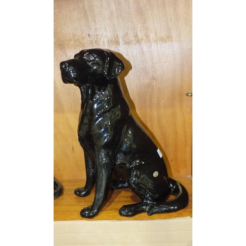 192 - A Beswick black gloss Labrador, sitting, model number 2314, 34.5cm high.