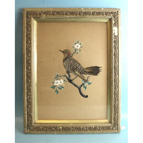 852 - An early-20th century feather collage picture depicting a Northern Flicker (American Woodpecker), pe... 