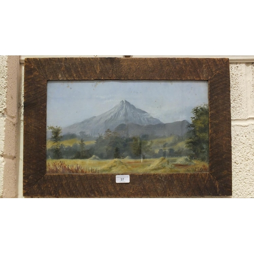 37 - G F Nolan, 'Mt Egmont, New Zealand', initialled watercolour, 26.5 x 46cm, titled, signed label verso... 