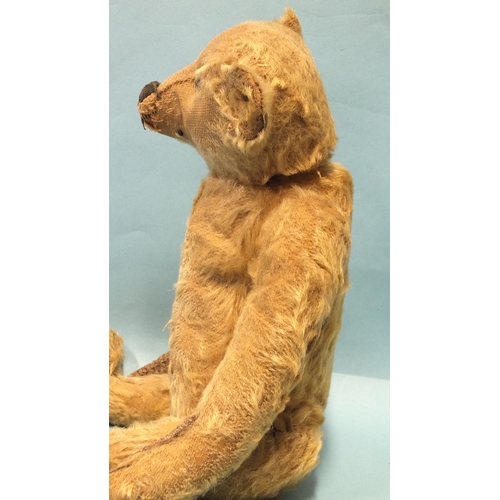 466 - A small early Steiff blonde mohair teddy bear with boot-button eyes, 