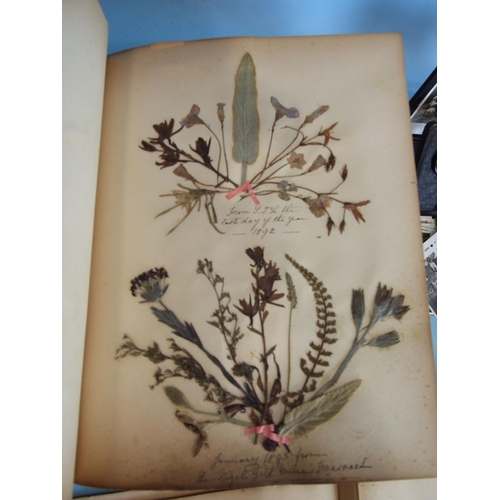 562 - A late-19th century album of pressed leaves and flowers, an album of Victorian Christmas cards, (stu... 