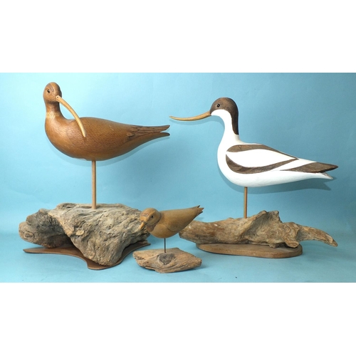 150 - A modern carved wood and poker-work painted model of an avocet on driftwood base, 34cm high, (chip t... 