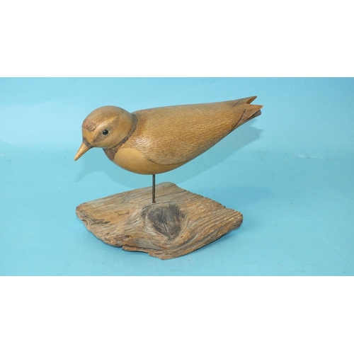 150 - A modern carved wood and poker-work painted model of an avocet on driftwood base, 34cm high, (chip t... 