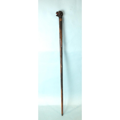 185 - A hardwood novelty walking cane, the handle carved with a dog with an open mouth, having a push butt... 