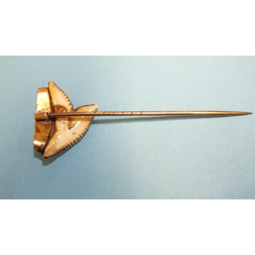 324 - A gold-mounted shark tooth stick pin, gross weight 4.9g.