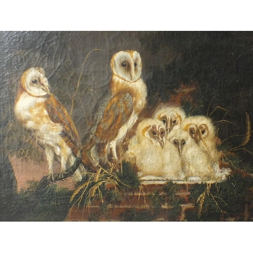 49 - William Tomkins (c. 1730-1792) BARN OWLS AND A NEST OF FLEDGLINGS Signed oil on canvas, dated 1769, ... 