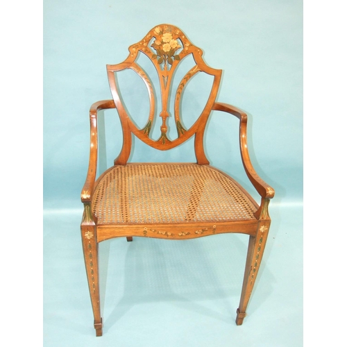 78 - A reproduction Hepplewhite-style painted mahogany shield-back armchair with caned seat, on square ta... 