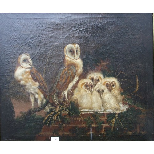 49 - William Tomkins (c. 1730-1792) BARN OWLS AND A NEST OF FLEDGLINGS Signed oil on canvas, dated 1769, ...