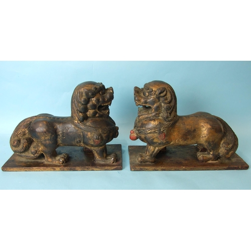 215 - A pair of Oriental carved wood and gilt lacquered temple dogs, 24cm high, 33cm wide.... 