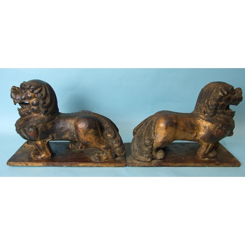 215 - A pair of Oriental carved wood and gilt lacquered temple dogs, 24cm high, 33cm wide.... 