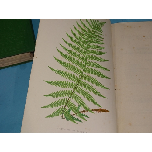 23 - Lowe (E), Our Native Ferns, 2 vols, 79 chromolithographed plts, tissue gds, numerous black and white... 