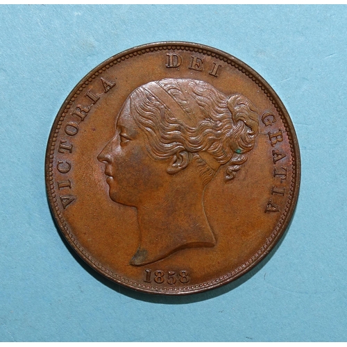 329 - A Queen Victoria 1858 copper one-penny coin.